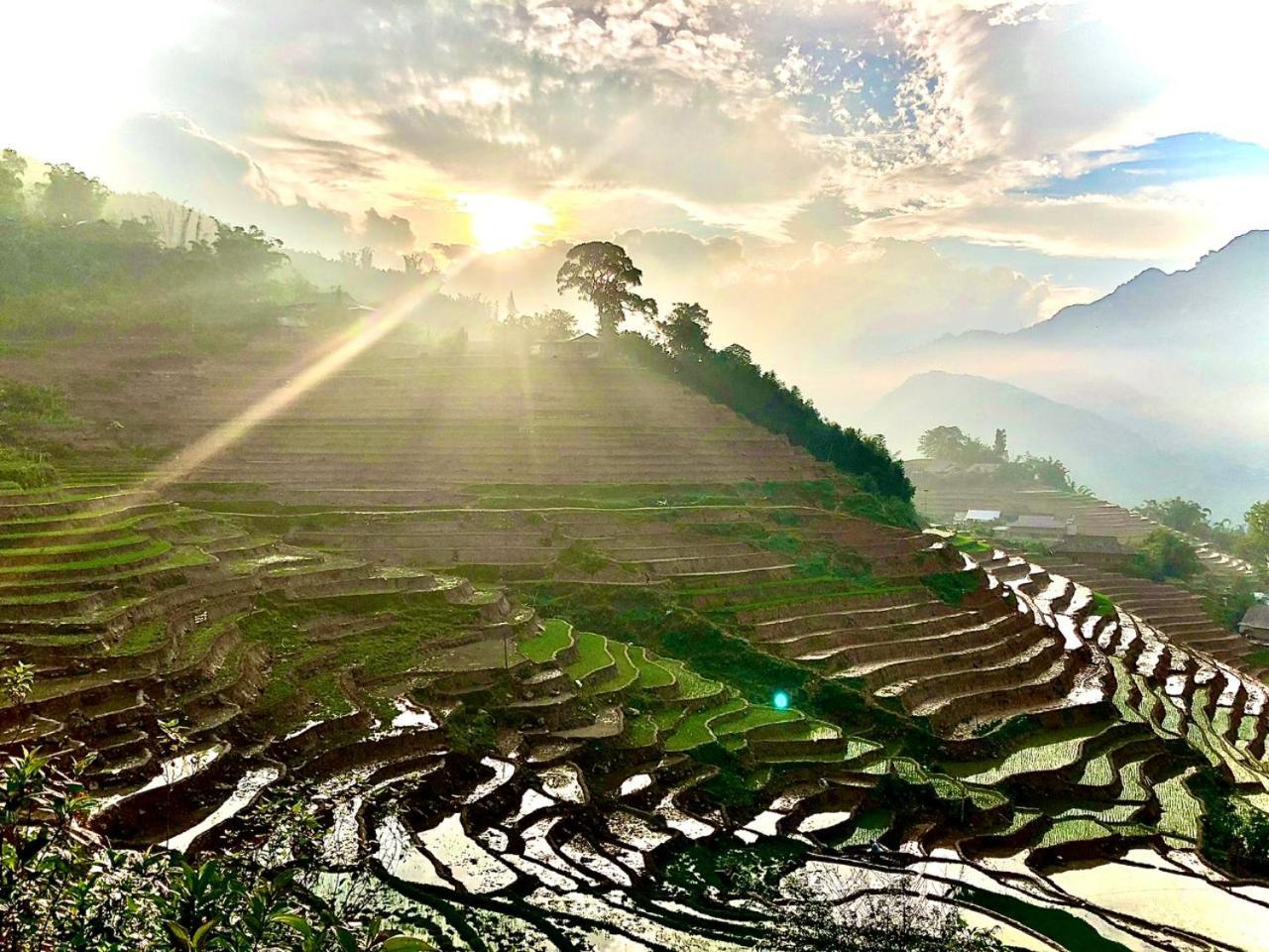 Eco Hills Homestay Sa Pa Buitenkant foto